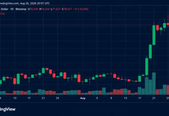 Bitcoin Price Slams Into $79K Wall as Rally Momentum Starts Fading