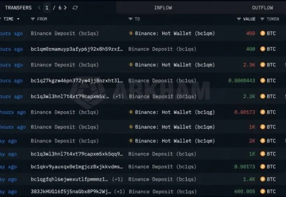 Mystery Whale Sells $576M in Bitcoin as BTC Nears $80,000