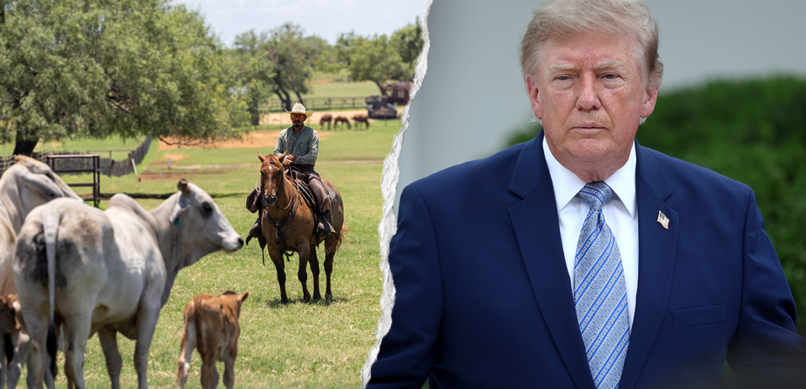 Trump’s foreign beef push to cut grocery costs sparks GOP revolt from ranching country