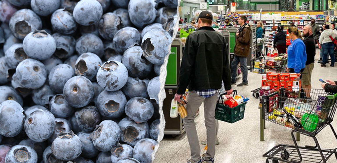Florida woman died after eating E coli-tainted frozen blueberries from Publix, lawsuit alleges