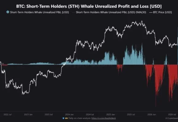 Bitcoin’s $9.07B Whale Profit Record Puts Rally Floor to Test