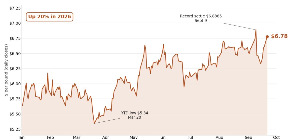 Copper prices bounce as US runs out of warehouse space
