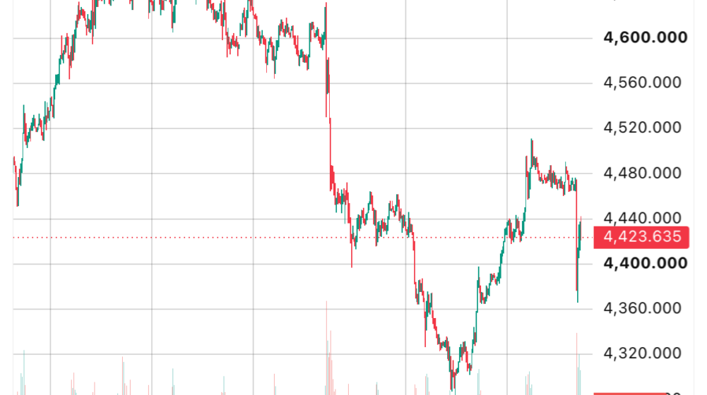 Investors buoy gold price as central banks slow